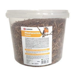 animallparadise PickNick gedroogde meelwormen 540g emmer voor vogels insectenvoedsel