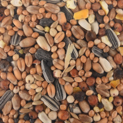 Nourriture graine Mélange de graines toutes saisons pour oiseaux sac de 1 kg.