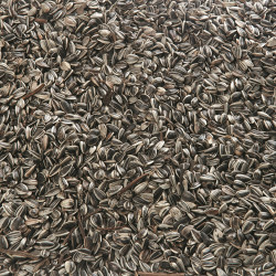animallparadise Sementes de girassol saco de 700 gr de aves com 4 estações Girassol