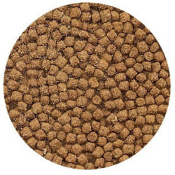 animallparadise Volledig diervoeder voor cichliden 500 ml 280 g siervissen Voedsel