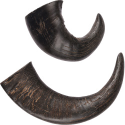animallparadise 2 medium dried buffalo horns Nature snack, for dogs Dog treat