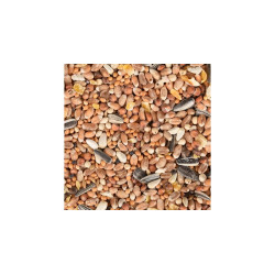 animallparadise Miscela di semi per uccelli per tutte le stagioni Sacco da 2,5 kg Cibo per i semi