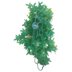 animallparadise Pianta decorativa che imita l'edera congolese, circa 36 cm. Decorazione e altro