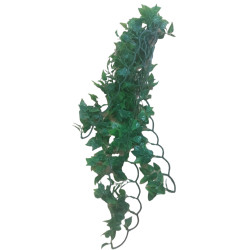 animallparadise Decoratieve Mexicaanse Phyllo plant van ongeveer 56 cm. Decoratie en andere
