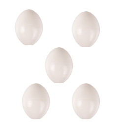 animallparadise 5 Jajka dla papug, sztuczny plastik. Accessoire