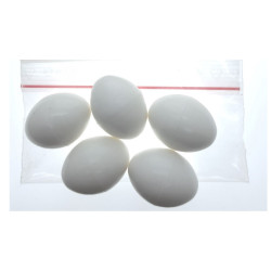 animallparadise 5 huevos artificiales de plástico para pájaros Accesorio