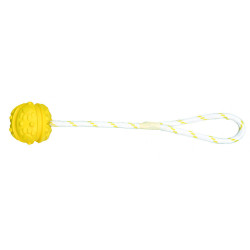 animallparadise Wasserspiel Ball am Seil, Maße: ø 4,5/35 cm, zufällige Farbe, für Ihren Hund. Seilspiele für Hunde