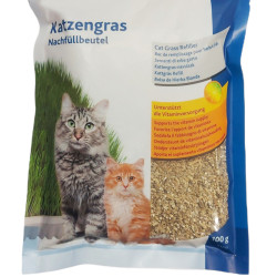 animallparadise Weiches Katzengras 100 Samen zum Anbauen. Katzengras