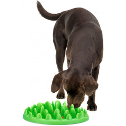 animallparadise Cuenco antigolpes. 29 cm para perros Recipiente para la comida y alfombrilla antiglotona