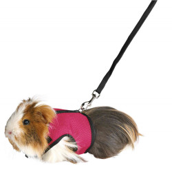 animallparadise Soft harness with leash 1.2 m random color for guinea pigs Collars, leashes, harnesses