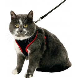 animallparadise Arnés para gatitos, negro y rojo, talla S, ajustable Arnés