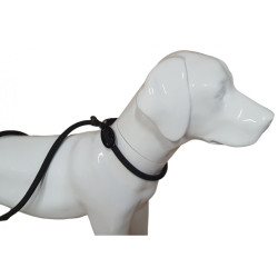 animallparadise Aiden anti-trekriem, zwart ø12 mm L170 cm, voor honden Laisse enrouleur chien