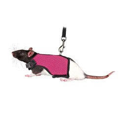 Colliers, laisses, harnais Harnais doux avec laisse 1,2 m pour rats - couleur aléatoire