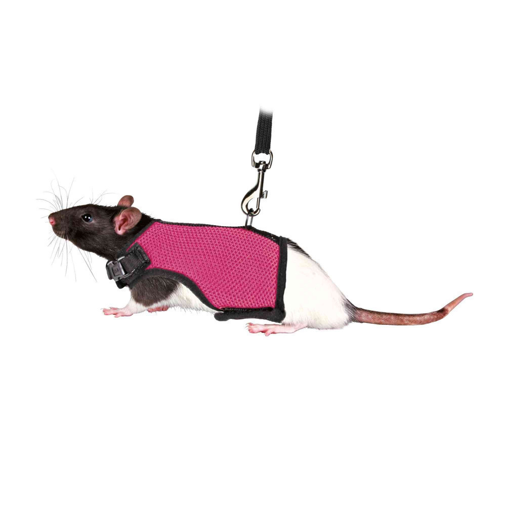 animallparadise 1,2 m Harnais doux avec laisse, pour rats - couleur aléatoire Collars, leashes, harnesses