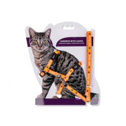 animallparadise Imbracatura con guinzaglio 1,20m. KITTY CAT arancione. per gattino. Imbracatura