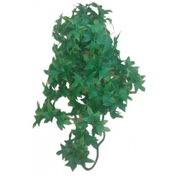 animallparadise Roślina dekoracyjna imitująca bluszcz kongijski, ok. 36 cm. Décoration et autre