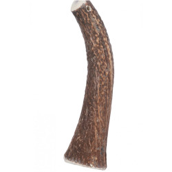 animallparadise Hard deer antlers, about 18 cm, for dogs over 20 kg. Dog treat