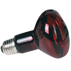 Zoo Med Zoo med lampe spot infrarouge 50 W - Lampe chauffante infra-rouge nocturne Heizmaterial