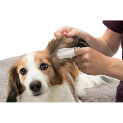 Soins des oreilles pour chien Doigtiers de soin pour les oreilles. pour animaux 50 pieces