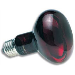 Matériel chauffant 50 W Zoo med lampe spot infrarouge - Lampe chauffante infra-rouge nocturne