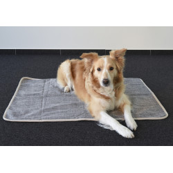 couverture chien Couverture Zupo grise 100 x 70 cm pour chien