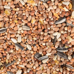 Nourriture graine Mélange de graines toutes saisons pour oiseaux sac de 5 kg