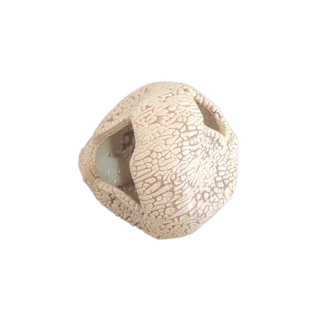 animallparadise Deko-Kugel 8 cm mit Verstecken für kleine Fische Dekoration und anderes