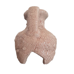 animallparadise Dekoracja w kształcie dzbanka 11 cm Cruche et pot