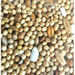 zolux Samen für Großsittiche Beutel mit 800 g für Vögel Nahrung Samen