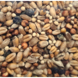 zolux Samen für Turteltaube 3 kg Beutel für Vögel Nahrung Samen