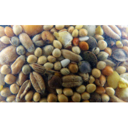 zolux Turteltauben-Samen nutrimeal - 12kg. Nahrung Samen