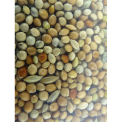 zolux Samen, Futter für exotische Vögel nutrimeal - 12KG. Nahrung Samen