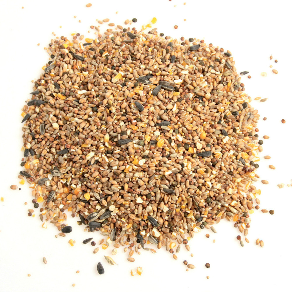 zolux Miscela di semi da 12 kg per uccelli da giardino Cibo per i semi