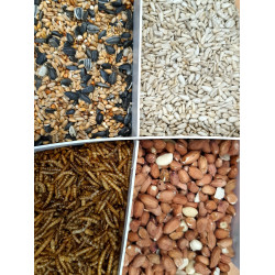 zolux Mistura Premium 4 variedades de sementes e minhocas de refeição, balde de 2,5 kg para aves Semente alimentar