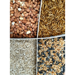 zolux Premium mix 4 soorten zaden en meelwormen, emmer van 2,5 kg voor vogels Zaad voedsel