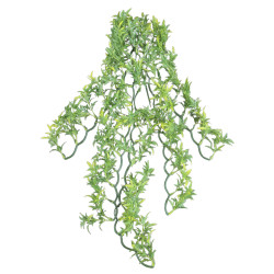 animallparadise Decoratieve plant van kunststof imitatie Boliviaanse Croton, ca. 56 cm. Decoratie en andere
