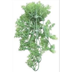 animallparadise Dekorative Pflanze aus Kunststoff, die dem australischen Ahorn nachempfunden ist, ca. 46 cm lang. Dekoration ...