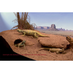 Substrats Substrat excavator 4.5 kg XR10 pour reptiles