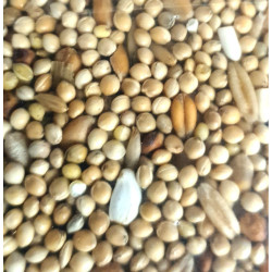 zolux Semi per parrocchetti grandi Sacco da 3 kg per uccelli Cibo per i semi