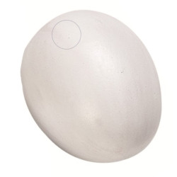 Accessoire Un faux œuf de poule en plastique pour volaille