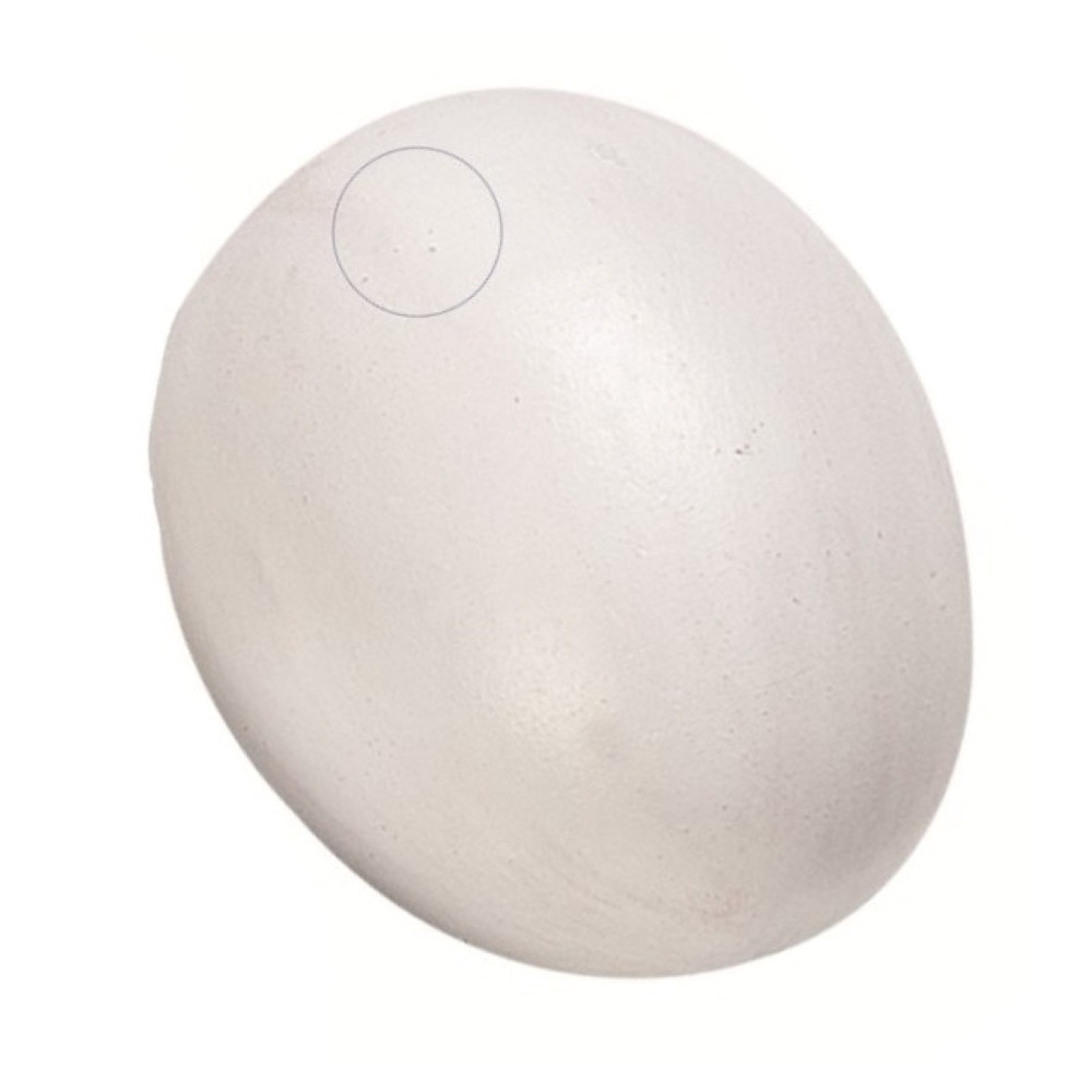 Accessoire Un faux œuf de poule en plastique pour volaille