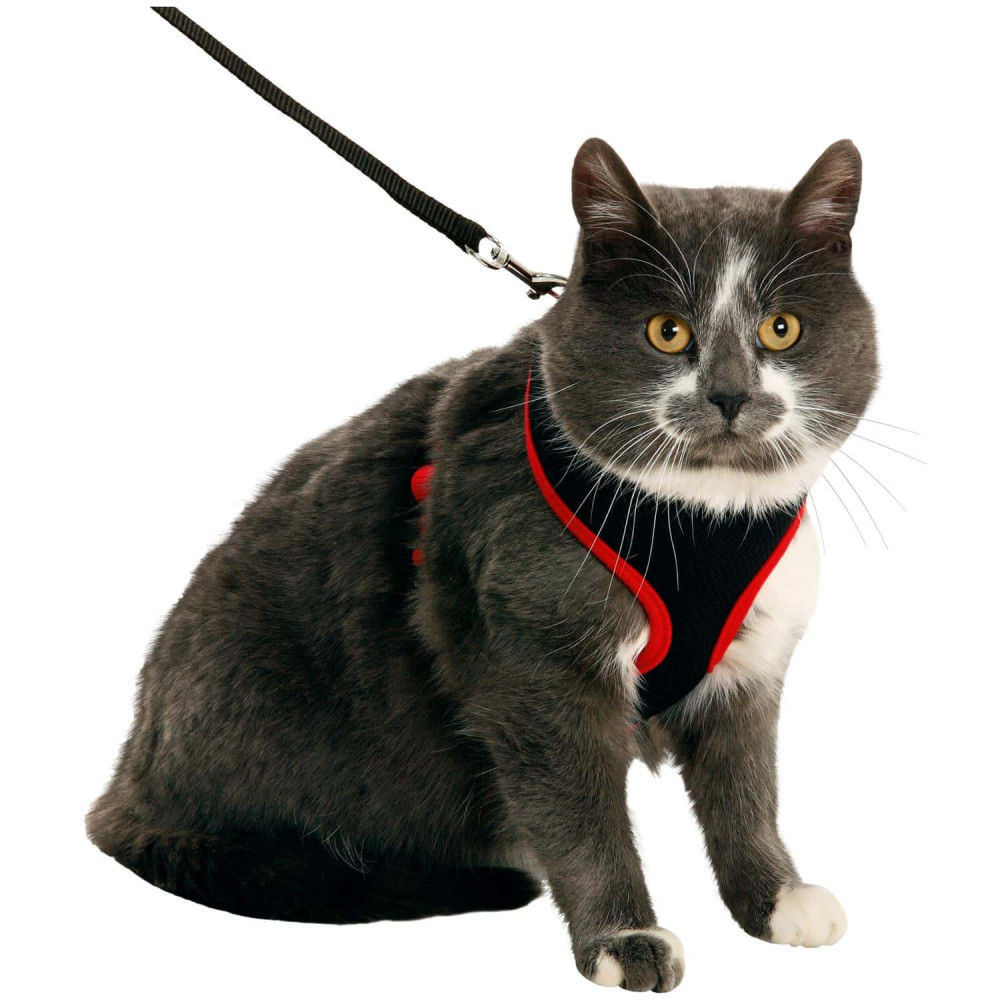 animallparadise Arnés para gato grande, negro y rojo, talla L, ajustable Arnés