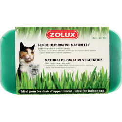 zolux Erva-dos-gatos depurativa natural 250 g tabuleiro Catnip