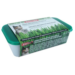 zolux Erva-dos-gatos depurativa natural 250 g tabuleiro Catnip