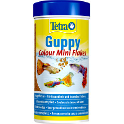 Tetra Guppy color mini flakes 75g - 250 ml Alimento para Guppies, platys, mollys e porta-espadas Alimentação