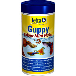 Tetra Guppy Farbe Mini Flocken 75g - 250 ml Futter für Guppys, Platys, Mollys, Schwertträger Essen