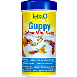 Tetra Guppy color mini flakes 75g - 250 ml Pokarm dla gupików, platek, molinezji i mieczyków Nourriture