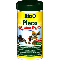 Tetra Pleco spirulina wafers, Alleinfuttermittel für pflanzenfressende Bodenfische 105g/250ml Essen