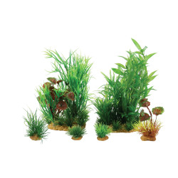 zolux Jalaya n°2 plantas artificiales 6 piezas H 18 cm Plantkit decoración acuario Plante