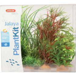 Plante artificielle Jalaya n°4 plantes artificielles 6 pieces H 18 cm Plantkit décoration d'aquarium